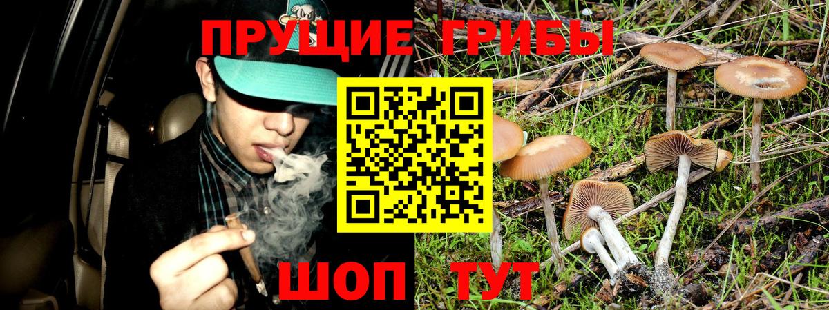 Галлюциногенные грибы прущие грибы  Псилоцибиновые грибы MAGIC MUSHROOMS  Назарово  Вход с VPN 